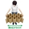 エコ段ベッド